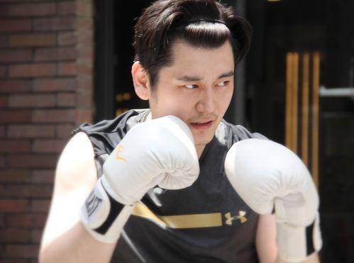 陈梦驰最新爆料视频大全,揭秘幕后真相与精彩瞬间